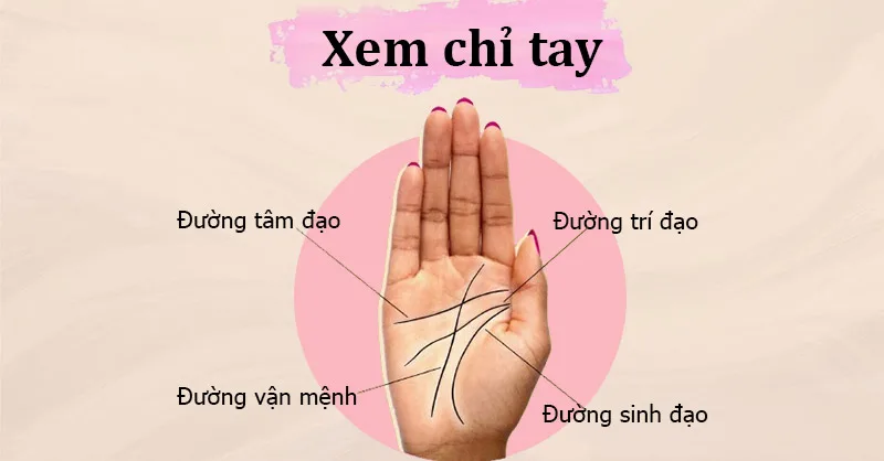 Ý nghĩa các đường chỉ tay cơ bản 