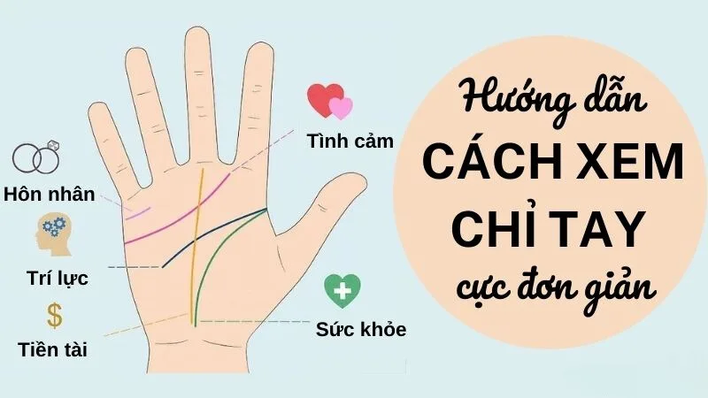 Cách xem chỉ tay đơn giản cho người mới bắt đầu