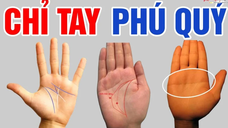 Giải mã nhanh 8 đường chỉ tay giúp phụ nữ trở nên thành công