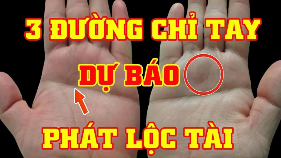 Những dấu hiệu chỉ tay dự báo giàu sang trong tương lai