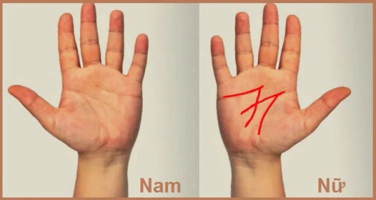 Bí mật ẩn chứa bất ngờ của những người có chỉ tay hình chữ M