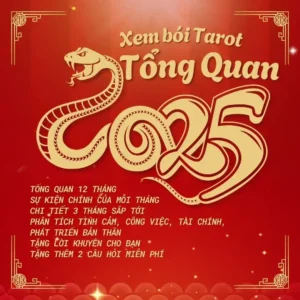 Xem bói Tarot tổng quan 2024 chi tiết từng tháng