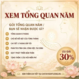 Xem bói Tarot tổng quan 2026 chi tiết từng tháng