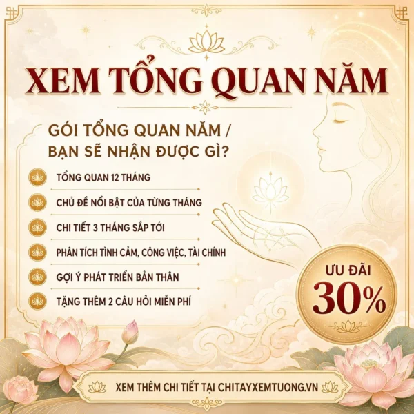 Xem bói Tarot tổng quan 2026 chi tiết từng tháng