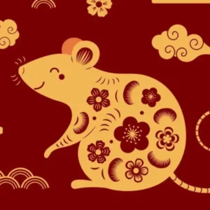 Xem bói Tarot tổng quan 2026 chi tiết từng tháng